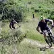 VTT printemps